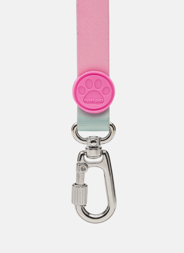 Guia Style para Pets Listrada Colorida - Imagem 3