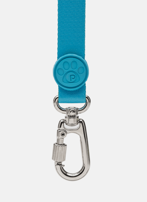 Guia Style para Pets Color Block Azul - Imagem 3