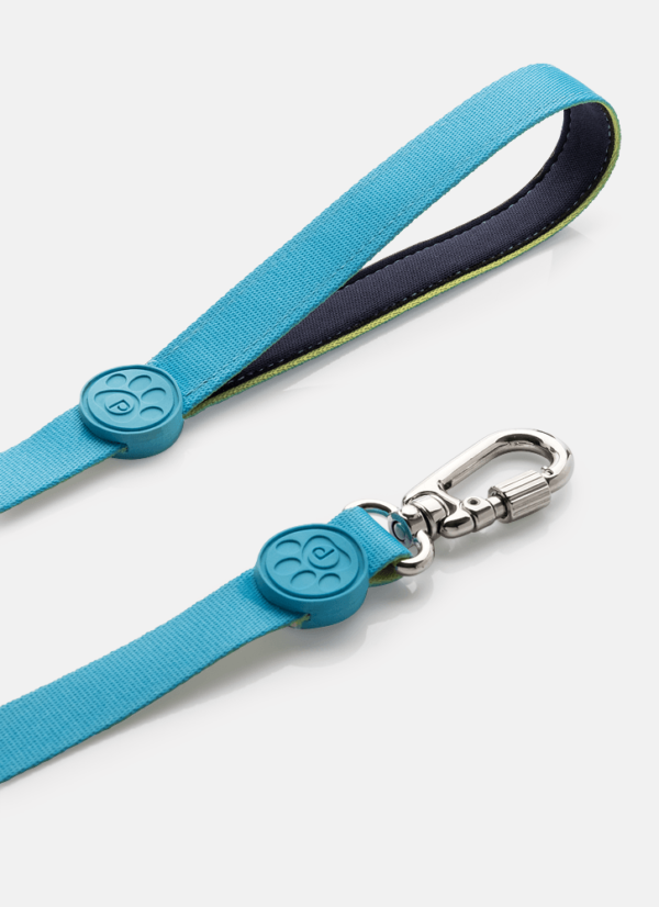 Guia Style para Pets Color Block Azul - Imagem 4
